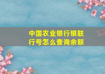 中国农业银行银联行号怎么查询余额