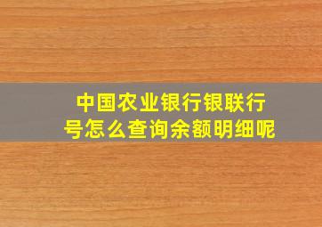 中国农业银行银联行号怎么查询余额明细呢