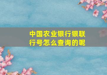 中国农业银行银联行号怎么查询的呢