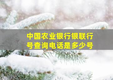 中国农业银行银联行号查询电话是多少号