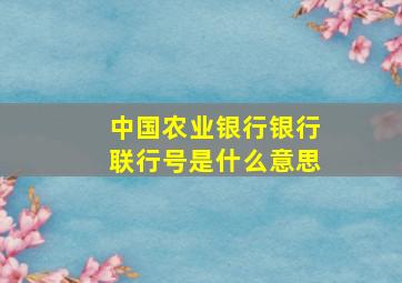 中国农业银行银行联行号是什么意思