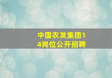 中国农发集团14岗位公开招聘