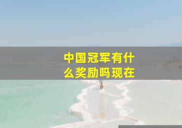 中国冠军有什么奖励吗现在