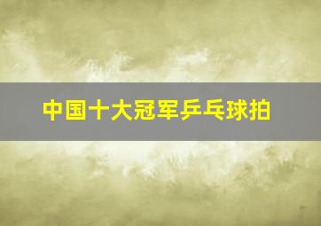 中国十大冠军乒乓球拍