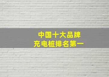 中国十大品牌充电桩排名第一