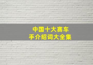 中国十大赛车手介绍词大全集