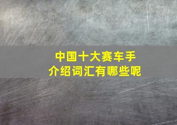 中国十大赛车手介绍词汇有哪些呢