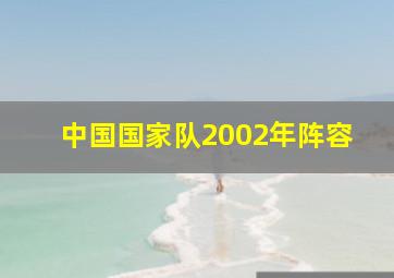 中国国家队2002年阵容