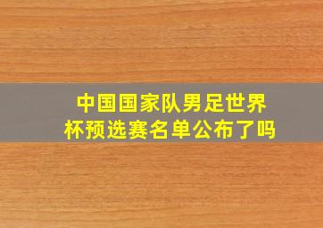 中国国家队男足世界杯预选赛名单公布了吗