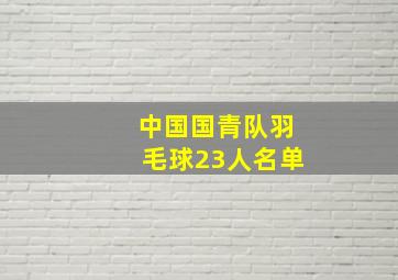 中国国青队羽毛球23人名单