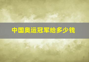 中国奥运冠军给多少钱