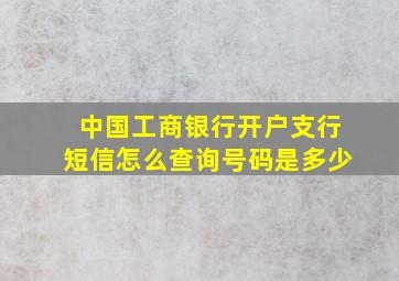 中国工商银行开户支行短信怎么查询号码是多少