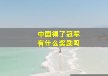 中国得了冠军有什么奖励吗