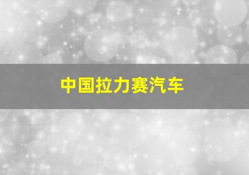 中国拉力赛汽车