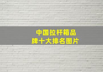 中国拉杆箱品牌十大排名图片