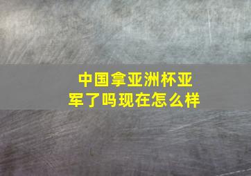 中国拿亚洲杯亚军了吗现在怎么样