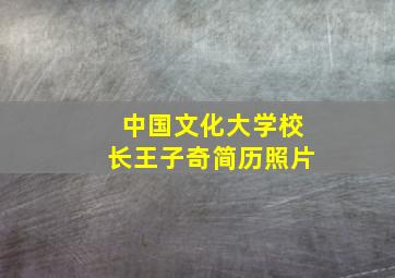 中国文化大学校长王子奇简历照片