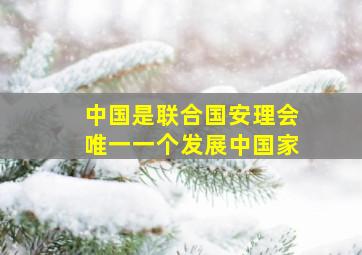 中国是联合国安理会唯一一个发展中国家