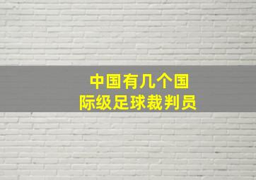 中国有几个国际级足球裁判员