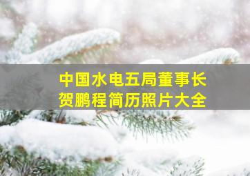 中国水电五局董事长贺鹏程简历照片大全