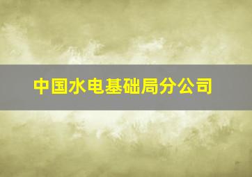 中国水电基础局分公司