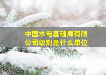 中国水电基础局有限公司级别是什么单位