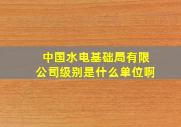 中国水电基础局有限公司级别是什么单位啊