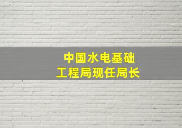 中国水电基础工程局现任局长