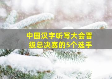 中国汉字听写大会晋级总决赛的5个选手