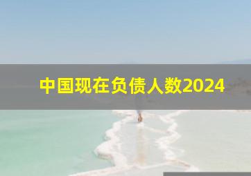 中国现在负债人数2024