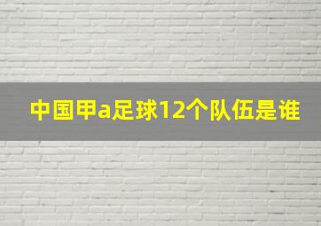 中国甲a足球12个队伍是谁