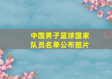 中国男子篮球国家队员名单公布图片