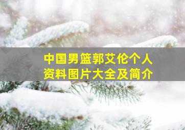 中国男篮郭艾伦个人资料图片大全及简介