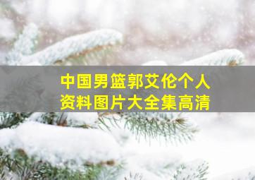 中国男篮郭艾伦个人资料图片大全集高清