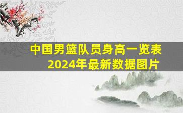 中国男篮队员身高一览表2024年最新数据图片