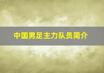 中国男足主力队员简介