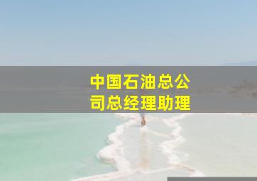 中国石油总公司总经理助理