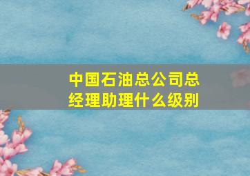 中国石油总公司总经理助理什么级别