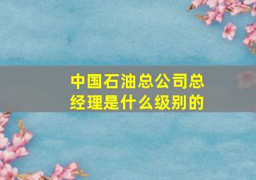 中国石油总公司总经理是什么级别的