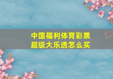 中国福利体育彩票超级大乐透怎么买