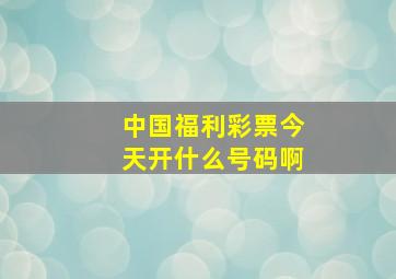 中国福利彩票今天开什么号码啊