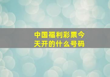 中国福利彩票今天开的什么号码