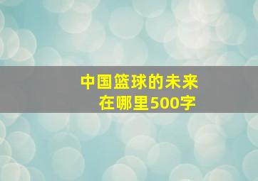 中国篮球的未来在哪里500字