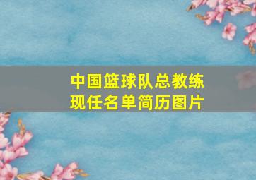 中国篮球队总教练现任名单简历图片