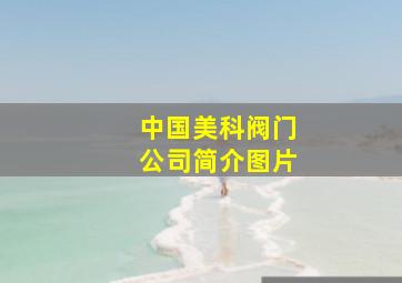 中国美科阀门公司简介图片