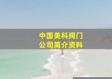 中国美科阀门公司简介资料