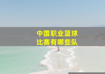 中国职业篮球比赛有哪些队