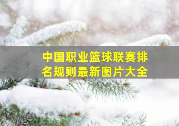 中国职业篮球联赛排名规则最新图片大全