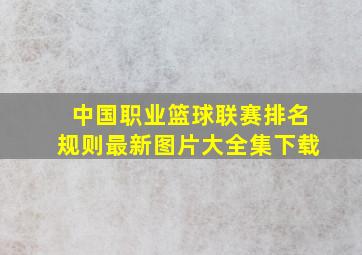 中国职业篮球联赛排名规则最新图片大全集下载