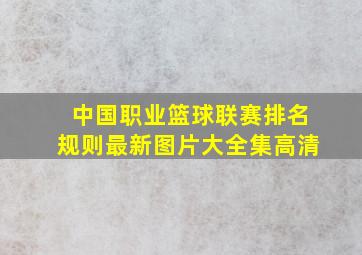 中国职业篮球联赛排名规则最新图片大全集高清